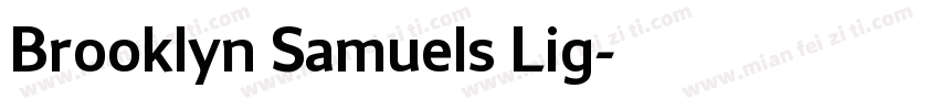 Brooklyn Samuels Lig字体转换
